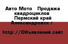 Авто Мото - Продажа квадроциклов. Пермский край,Александровск г.